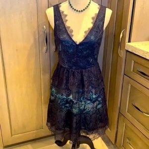 BCBGMAXAZRIA Women's Navy Lace Dress w/Floral Underlay Size 0